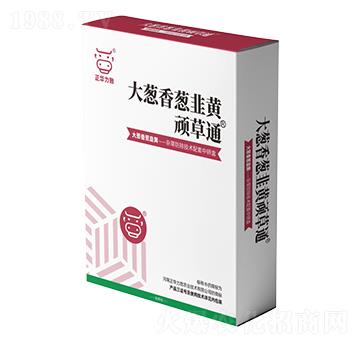 ���[�����[�����S�B��ͨ-���A����