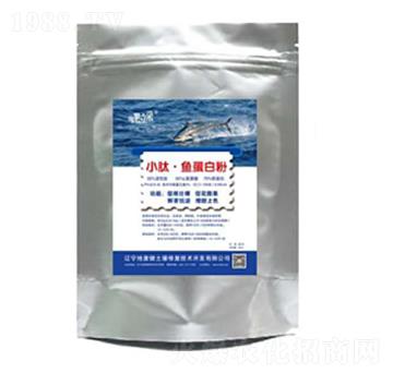 С���~���׷�-�؏�(f��)��