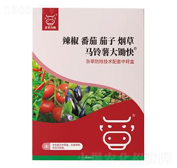 �R������z��-���A����