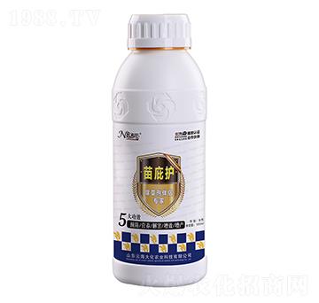 ����o���ݰ�H����-�ƺ���