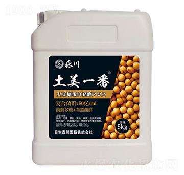 ����һ�������;���-ɭ��-����