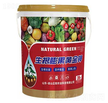 ��������S���-���