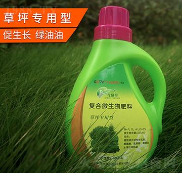 ��ƺ�����͏ͺ�΢�������-������