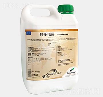 �ؘ�(l��)�Z��-��������