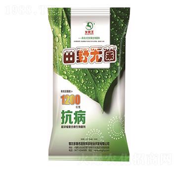 ����s��(f��)��΢�������-��Ұ�o��-�l(f��)ؔ��