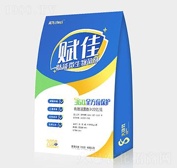 ����΢�������-�x��-Ԫ����������