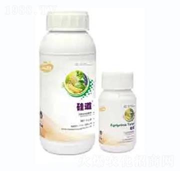 ���-��������