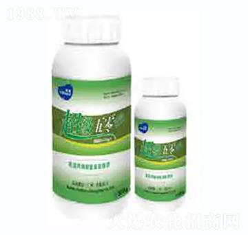 ����(j��)����2̖(h��o)-��������