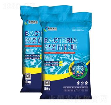 �紲��΢�������-�W���_