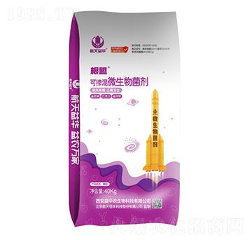 �ɓ���΢�������-����-�������A