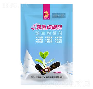 ���쐞�-��