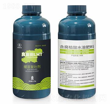 ����͉ф�-������LMT-������