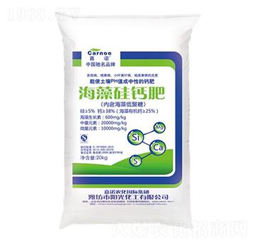 ������}��-���Z-�(y��ng)�⻯��