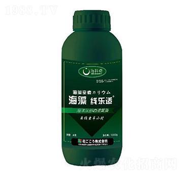 ���往���m-������