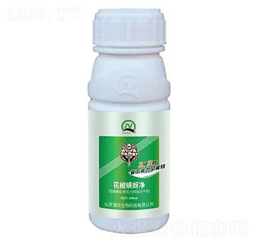 ����������-���r