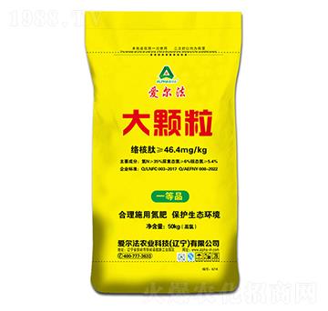 ���w������35-0-0-�۠���