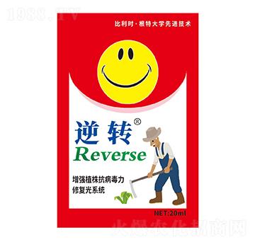 ���D(zhu��n)-̽��������