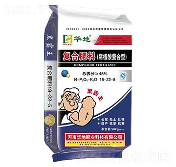 ��ֲ�������͏ͺϷ���18-22-5-�A�طʘI(y��)