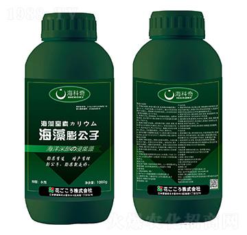 ��������-������