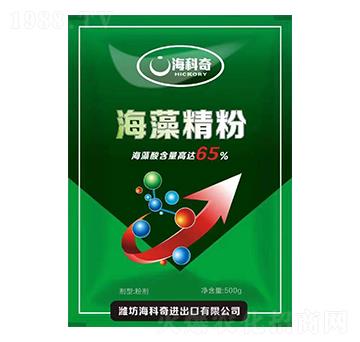 ���徫��-������