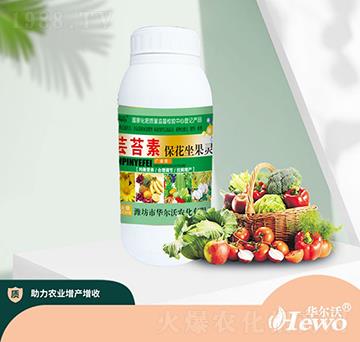 �|̦�ر��������`-�A����