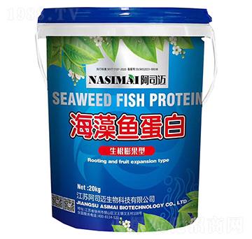 ��������ͺ����~����-asm