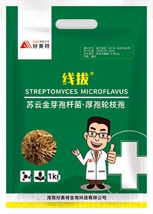 �K�ƽ�ѿ�ߗU��������݆֦��-����-������