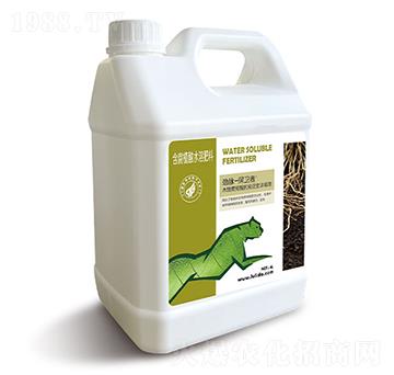 ľ���S�����sҺ-���}���l(w��i)��-�G���_