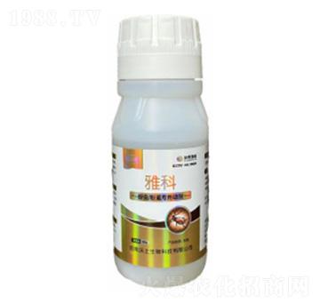 ���x(ch��ng)��ʭ��������-�ſ�-�ډѴT�S-��������