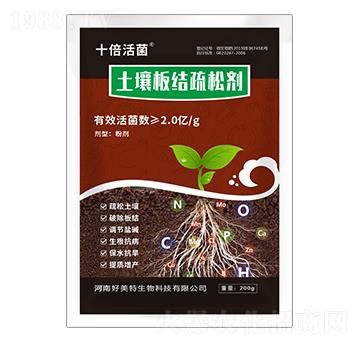 ������Y���Ʉ�-ʮ�����-������