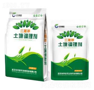 ���師�����{�턩-���A�r��