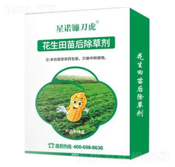 �����������݄�-���Z砵���-�Z�����r�I(y��)