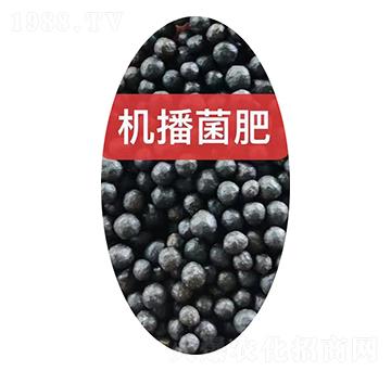 �C(j��)�������w��-���r(n��ng)