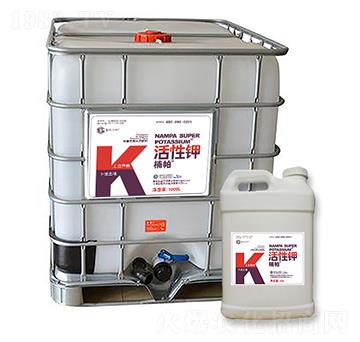 ����������-����