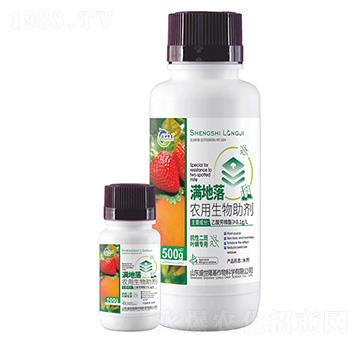 �M(m��n)����-�r(n��ng)����������-ʢ��¡��