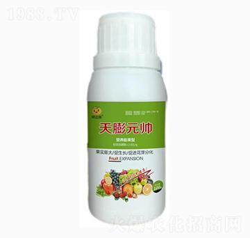 �I�B(y��ng)������~���-����Ԫ��-���_(d��)���ʘI(y��)