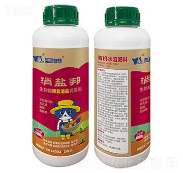 �����ή�}���}�{(di��o)�턩-���}��-�{(l��n)؈�ǻ�