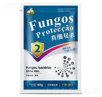 �漚(x��)�p��-��˹��