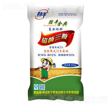 ��ø���@�ͺϷ���18-22-10-���S���-���S�ʘI(y��)