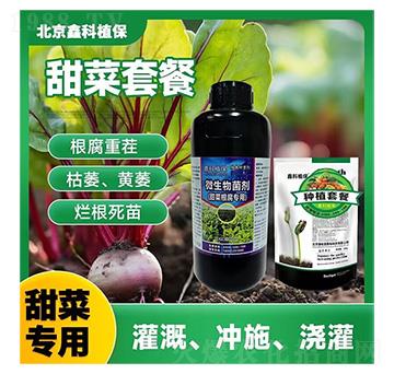 �ο�ֲ����˸����`������