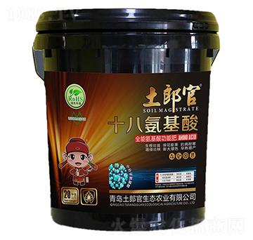 20kgʮ�˰����ᣨȫ�ܰ����Ṧ�ܷʣ�-���ɹ�