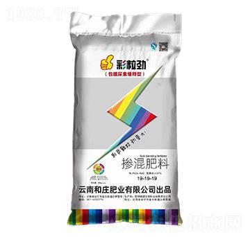 �������19-19-19-������-���f�ʘI(y��)