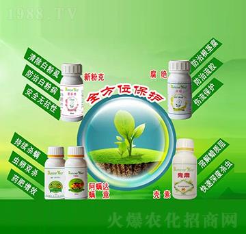 �����Ƅ�-�ѹ���