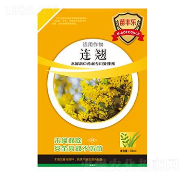 �B�NľϬ����ˎ�Č���̎�턩-���S��-�瘷���r(n��ng)�I(y��)