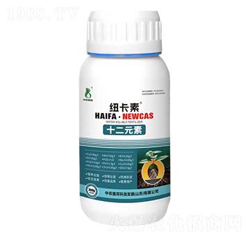 ʮ��Ԫ��-�~����-���r�W��