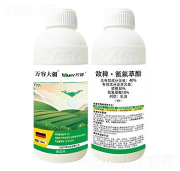 40%���ޡ��������-�f�ݴ�-�f��