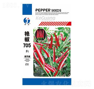 �G��705�����N��-�ƹ�N��