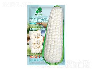 ����Ŵ6̖-���S�N�I(y��)