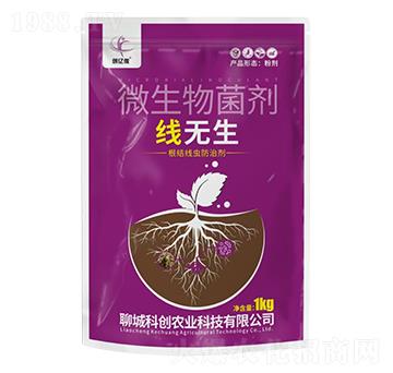 ��(xi��n)�o(w��)��΢�������-��(chu��ng)�|�z-�ĳǿƄ�(chu��ng)