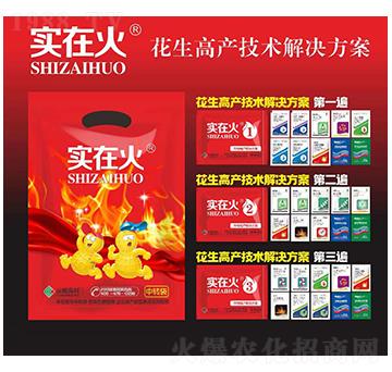 �����߮a���g��Q����-���ڻ�-�t̫�